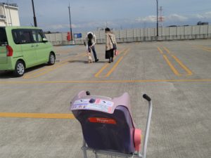 横浜の愛犬のしつけ方教室/マハロ-カート慣れ